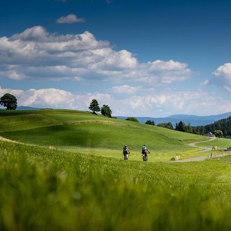 Gartenloft An Der Mur Murau Luaran gambar