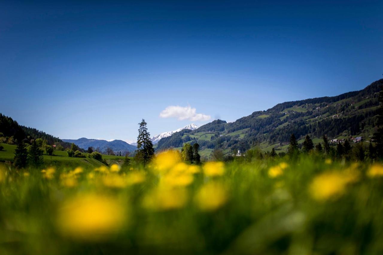 Gartenloft An Der Mur Murau Luaran gambar